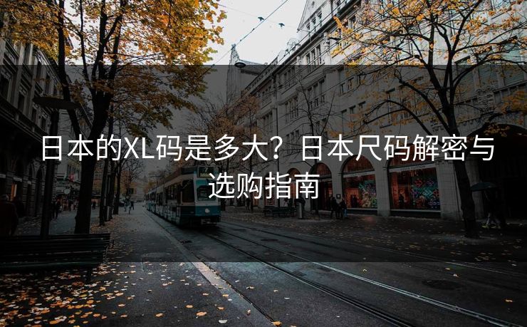 日本的XL码是多大？日本尺码解密与选购指南