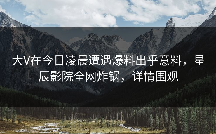大V在今日凌晨遭遇爆料出乎意料，星辰影院全网炸锅，详情围观