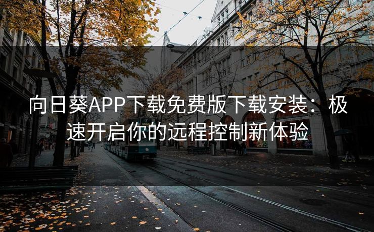 向日葵APP下载免费版下载安装:极速开启你的远程控制新体验