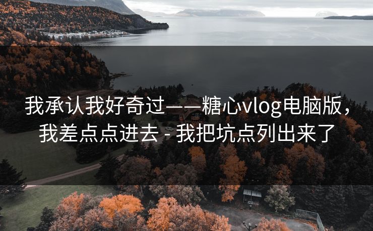我承认我好奇过——糖心vlog电脑版，我差点点进去 - 我把坑点列出来了